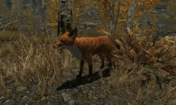 Разработчики о Skyrim: почему лисы приводят к сокровищам и проблемы легендарной вступительной сцены