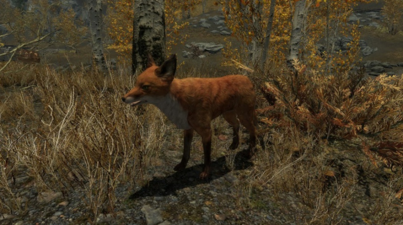 Разработчики о Skyrim: почему лисы приводят к сокровищам и проблемы легендарной вступительной сцены